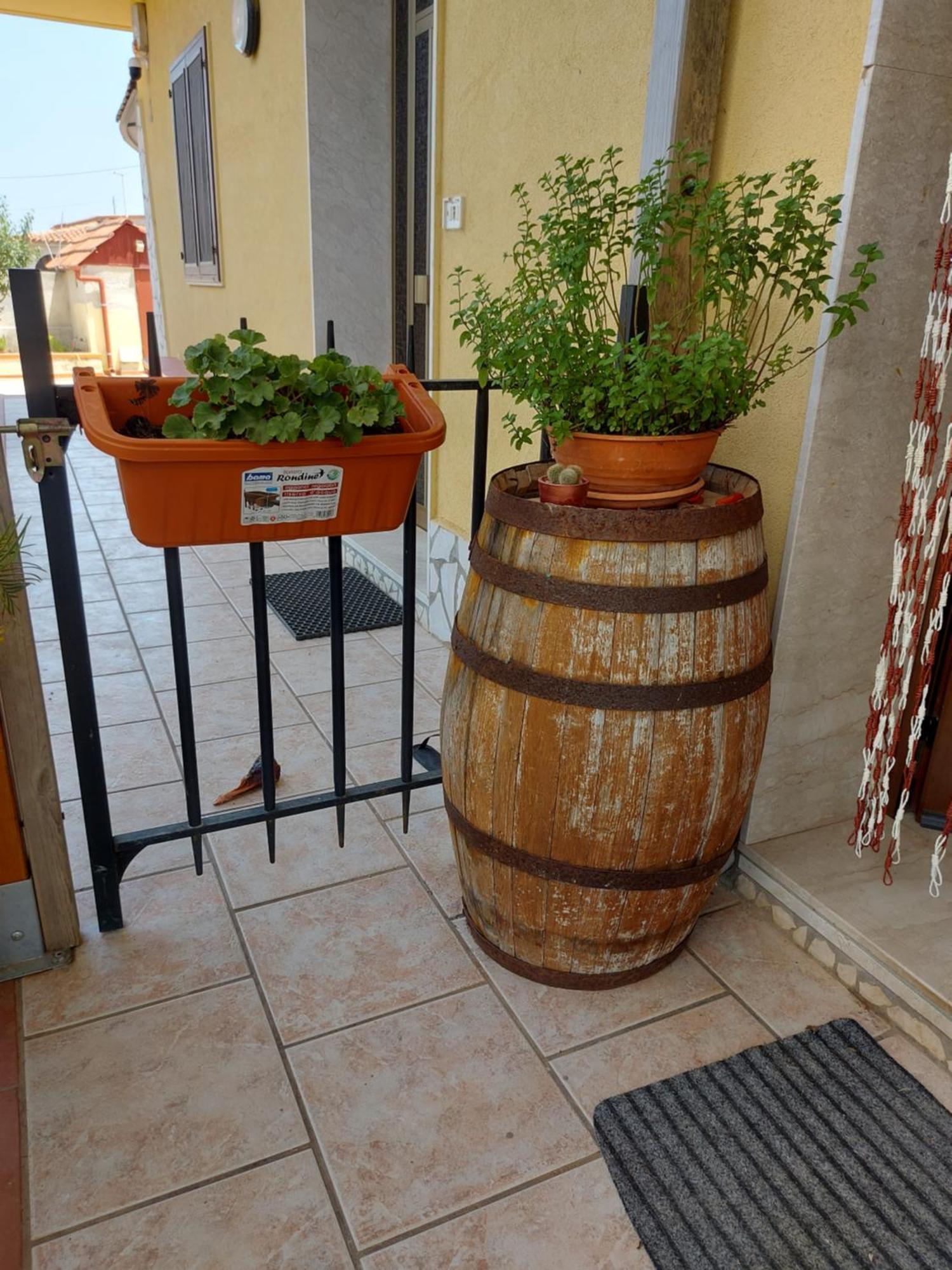 Elorina Sicily Home シラクーサ エクステリア 写真